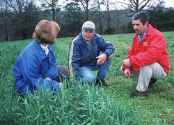 fieldwork
image