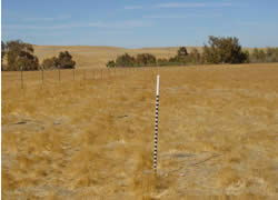 image of
monitoring in the field