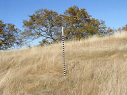 image of a
grazing habitat